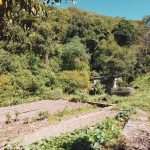 WAR-CRII-120324-FOT-CM-06-Grande