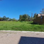 WhatsApp-Image-2024-06-13-at-12.01.29-PM-1