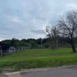 WhatsApp-Image-2025-01-10-at-11.18.27-AM-1