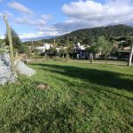 WhatsApp-Image-2025-04-11-at-10.17.49-AM