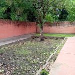 WhatsApp-Image-2025-04-14-at-11.32.07-AM-1