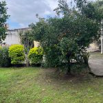 WhatsApp-Image-2025-05-20-at-10.25.36-AM-1