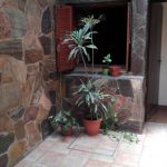 WhatsApp-Image-2025-05-21-at-8.55.07-AM-3