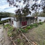 WhatsApp-Image-2025-09-25-at-12.54.04-PM