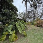 WhatsApp-Image-2025-09-25-at-12.54.05-PM-11