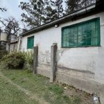 WhatsApp-Image-2025-09-25-at-12.54.05-PM-12