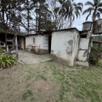 WhatsApp-Image-2025-09-25-at-12.54.05-PM-6