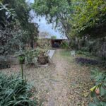 WhatsApp-Image-2025-10-13-at-1.01.13-PM-4