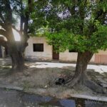 WhatsApp-Image-2025-10-23-at-11.37.49-AM-2