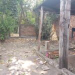 WhatsApp-Image-2025-10-23-at-11.37.50-AM-1