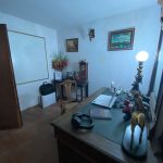 WhatsApp-Image-2024-11-13-at-9.45.48-AM